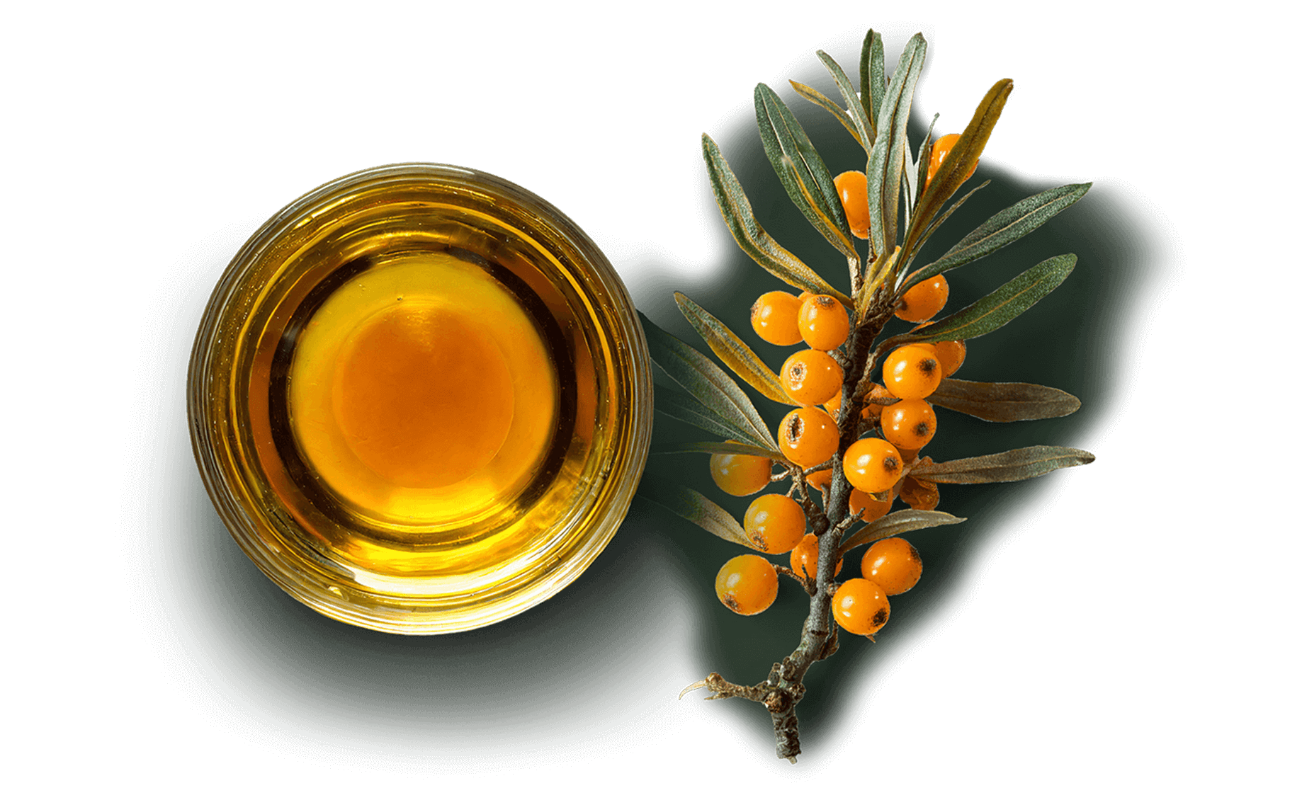 Wholesale Cold Pressed Oils | Cold Pressed Oil Suppliers